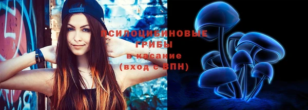 круглые Белокуриха