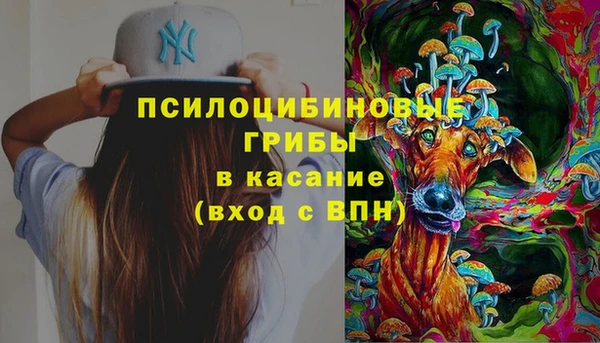 крисы Баксан