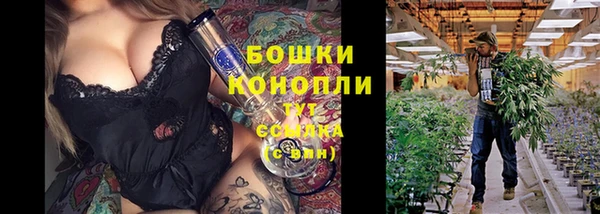 крисы Баксан