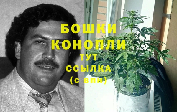 крисы Баксан