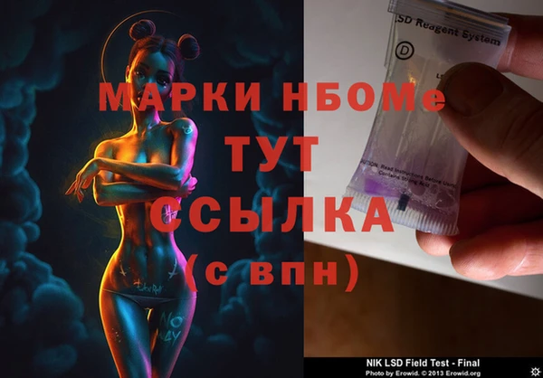 крисы Баксан