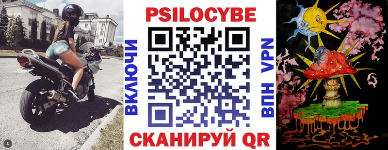 Галлюциногенные грибы MAGIC MUSHROOMS  продажа наркотиков  Калининец 